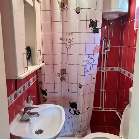 펜션 Vikendica Aurora